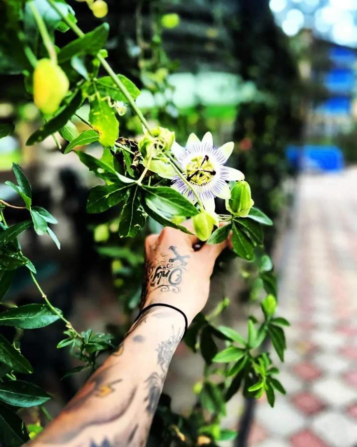 Hotel Lotus Ureki Ngoại thất bức ảnh